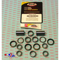 Pivot Works 19-23 Beta RR 2T 125 Swing Arm Kit