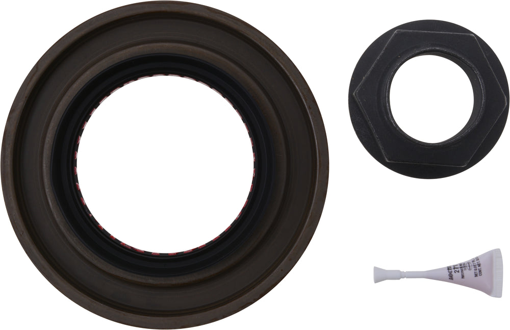 KIT-PINION SEAL & NUT