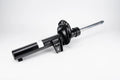Bilstein B4 OE Replacement 18-22 Volkswagen Atlas Front Suspension Strut Assembly