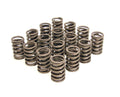 Outer Valve Springs With Damper-1.464 Dia.