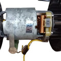FAN MOTOR