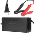 BATTERY DOC BATTERY CHARGER WALL MOUNT II 12 VOLT 2 AMP