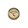 VINTAGE SERIES 2IN WATER TEMP