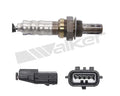 Walker Products Inc. - auto part