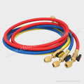 5' STANDARD BV HOSE SET