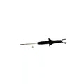 KYB Shocks & Struts Excel-G Rear ACURA TL 1996-98