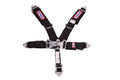 SFI 16.1 L&L HARNESS 3' PULL DOWN L
