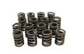 Outer Valve Springs With Damper-1.437 Dia.