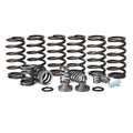 BD Diesel Governor Spring Kit, 4000rpm - 1994-1998 Dodge 12-valve/P7100 Pump - 1040185