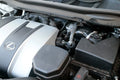 Intake Hose
