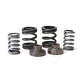 BD Diesel BD 5.9L Cummins Governor Springs P7100 Pump 3000RPM Dodge 1994-1998 12-valve - 1040187