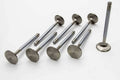 Manley Stainless Race Flo Intake Valves Set for Dodge Hemi 5.7 2.02 Inch (Set of 8)