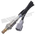 Walker Products Inc. - auto part