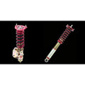 N1 Spring II Evolution9 I