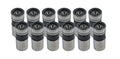HE Hyd Flat Lifters Ford 240-300/231