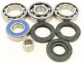 All Balls Racing 2002 Arctic Cat 375 2x4 w/AT Differential Bearing & Seal Kit Rear