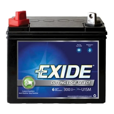 EXIDE auto part