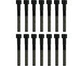 Engine Cylinder Head Bolt Set - 14-10112-01