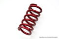 N1 Spring II Evolution9 I