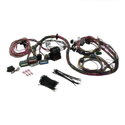 EXT HRNS LS ENGINE COIL 24IN