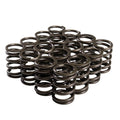COMP Cams Single Spring Valve Set - 1.404 OD - 1.650 IH - .550 Lift - Set of 16