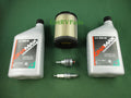CUMMINS/ONAN KY GAS MAINTENANCE KIT