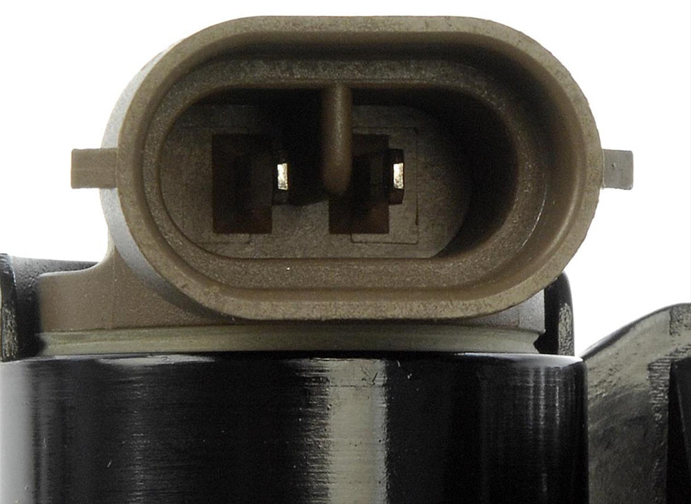 FOG LIGHT