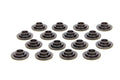 PAC RACING SPRINGS springs
