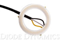 Diode Dynamics Halo Lights LED 50mm - Blue (Pair)
