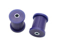Leaf Spring and Shackle Bushing Kit