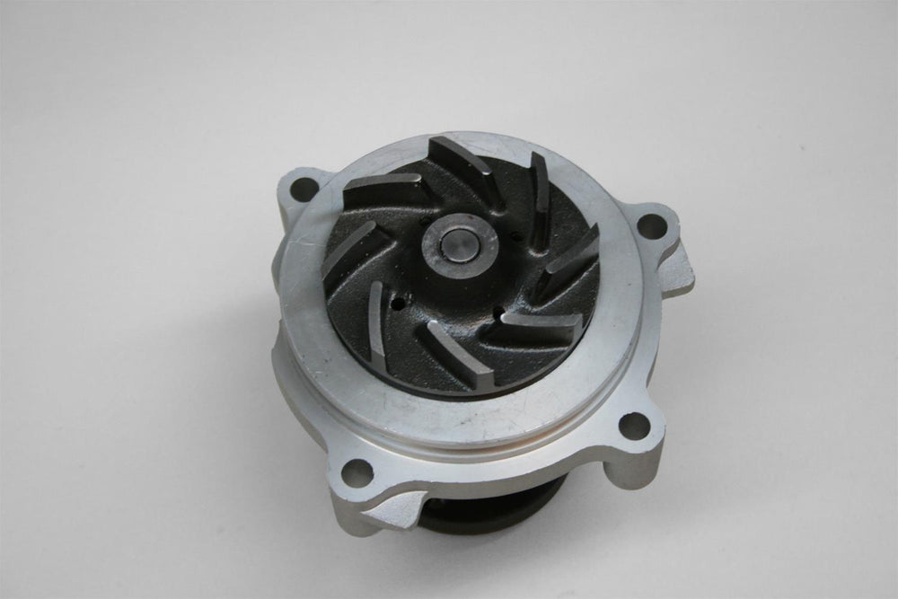 W/PUMP CAST SBF 4.6L 9601