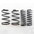 RSR Forged springs detail