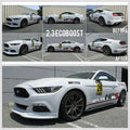 Megan Lowering Springs Ford Mustang 15 (inline 4 turbo v6 v8)