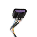 Dominator EFI DBW Harness - Early Truck