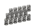 Supertech VW VR6 Dual Valve Spring - Set of 16