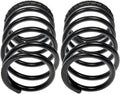 COIL SPRINGS