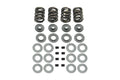 S&S Cycle 81-84 BT Triple Valve Spring Kit