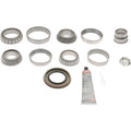Dana auto part detail