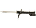 OESPECTRUM STRUT