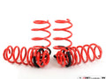 Megan Lowering Springs GTI 10-14 23LBS