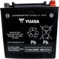 Yuasa YIX30L-BS-PW High Performance Maintenance Free AGM 12-Volt Battery w/Bottle