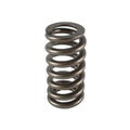 1.445 Valve Springs - Ovate Beehive (16)