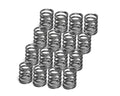 Supertech Audi/VW TFSI/EA888/EA113 Single Valve Spring - Set of 16