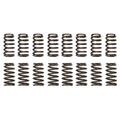 Subaru EJ20/EJ25 WRX Single Spring Set