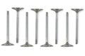Manley Performance intake system