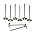 SBC/SBF 1.600 Exhaust Valves 8mm 5.030 OAL