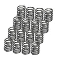 Supertech Honda D16A/D15B Single Valve Spring - Set of 16