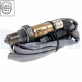 DELPHI auto part detail