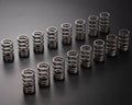 VALVE SPRING SET EJ205 EJ207 EJ255 EJ257