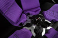 Braum 5 Point 3 SFI Approved Racing Harness - Purple - BRH-PUS5